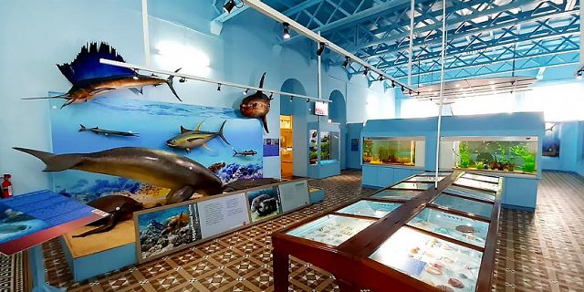 Natural history museum mauritius (2)